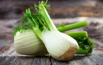 Fennel (Swiss)