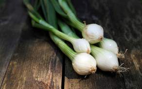 Organic new onions (small) from Geneva