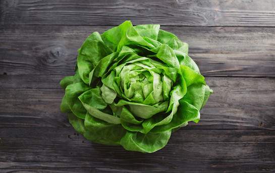 organic butterhead lettuce