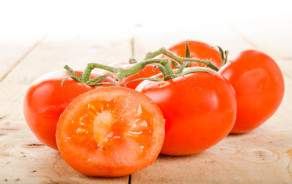 tomates grappes BIO