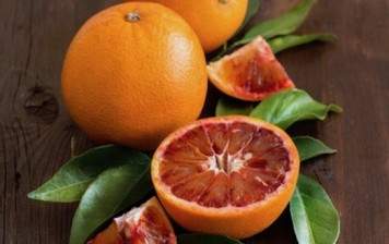 oranges Tarocco BIO