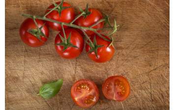 tomates cerises en grappes BIO