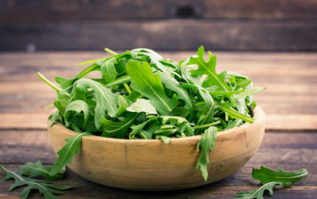 Rucola BIO