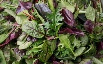 Salade de Mesclun