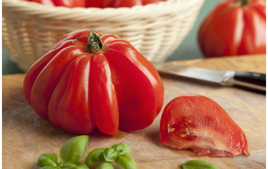 Tomaten Marmande BIO
