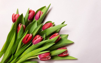 Bouquet de 10 tulipes GRTA