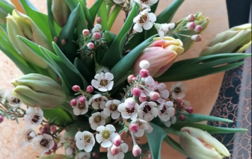 Bouquet de 9 tournesols GRTA