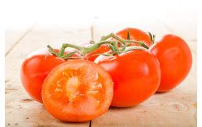 Tomates BIO