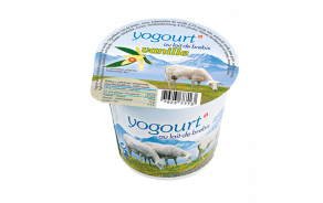 Yogourt au lait de brebis vanille