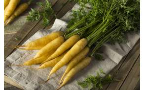 carottes jaunes BIO